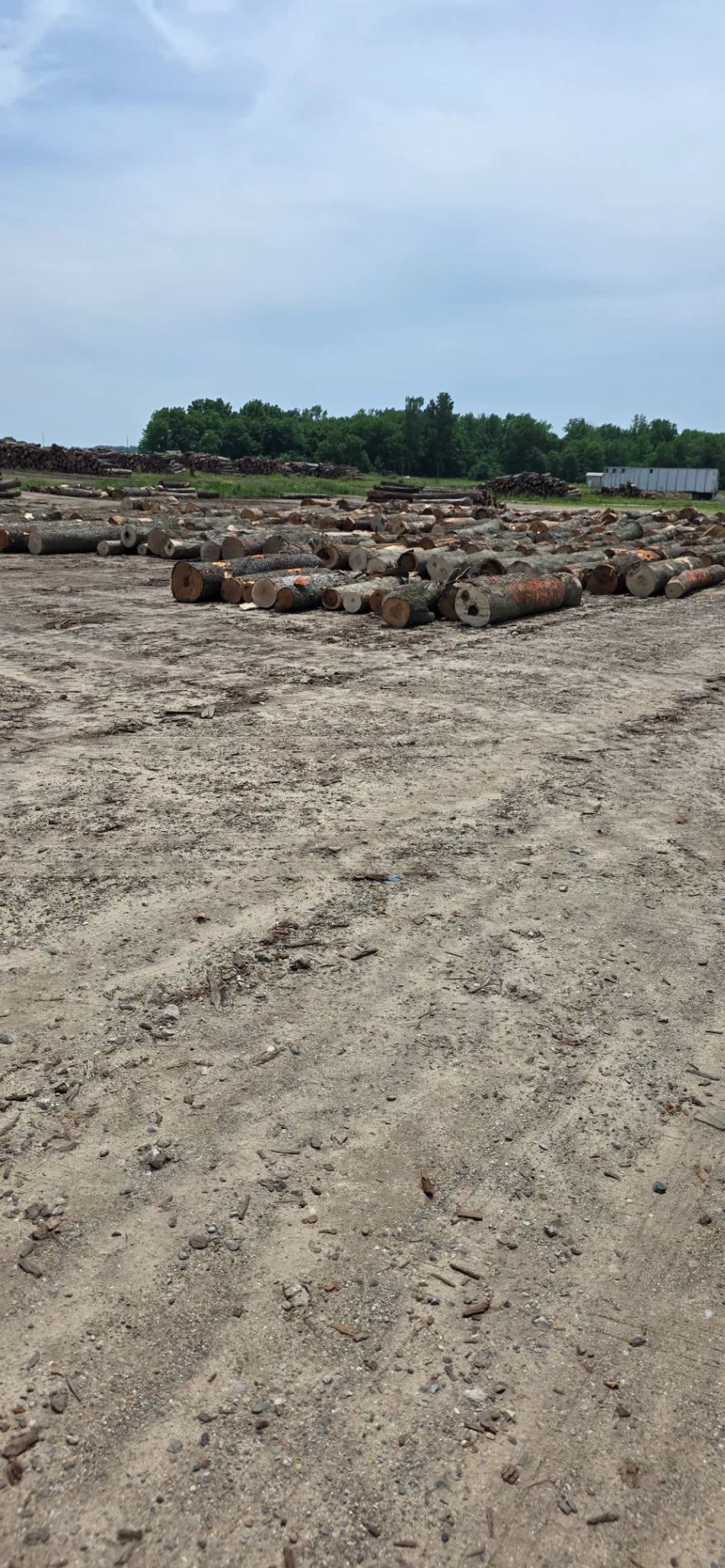 Cleared land with piled logs and debris after a professional land clearing project.