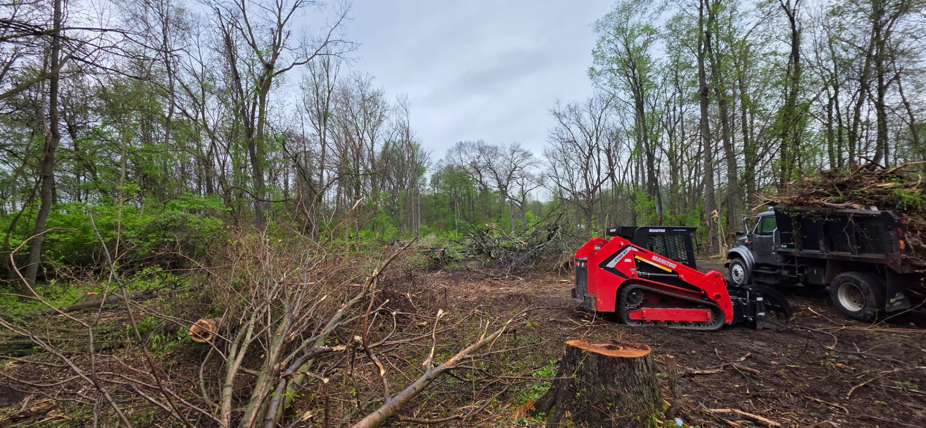 Red skid steer loader clearing brush and trees on a wooded property